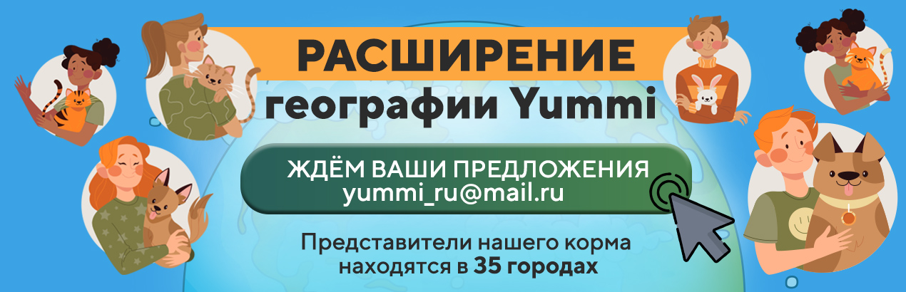 Расширение Yummi